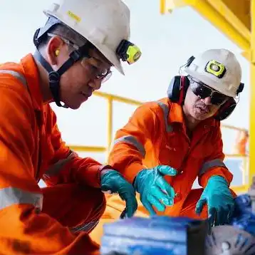 Valeura Energy Inc. image