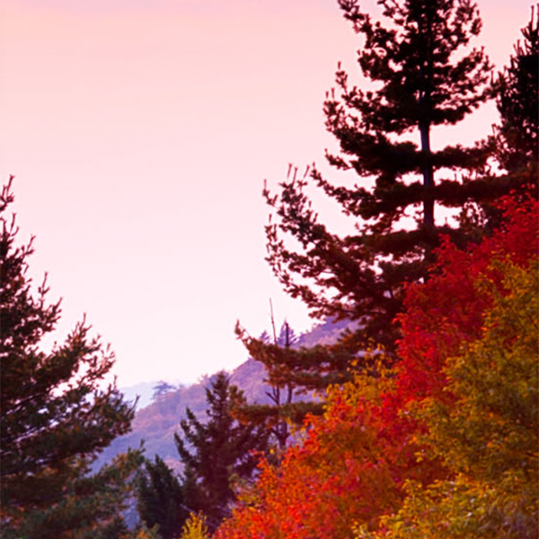 eGain Corporation (EGAN)