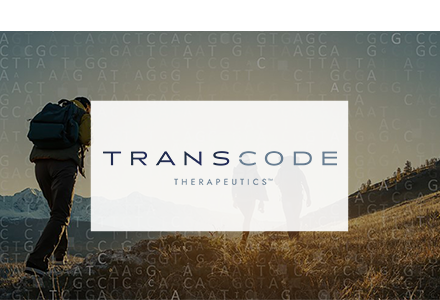 transcode-sidoti-tile